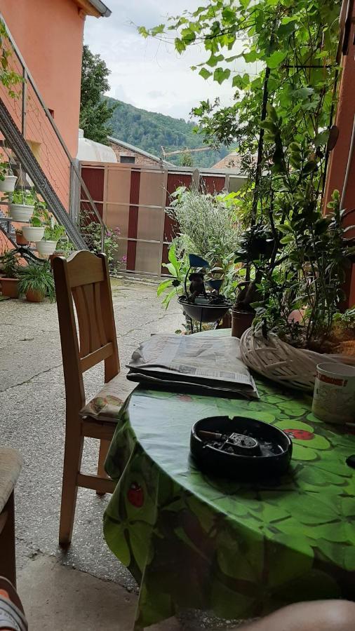Pension Im Glueck Thale Exterior photo