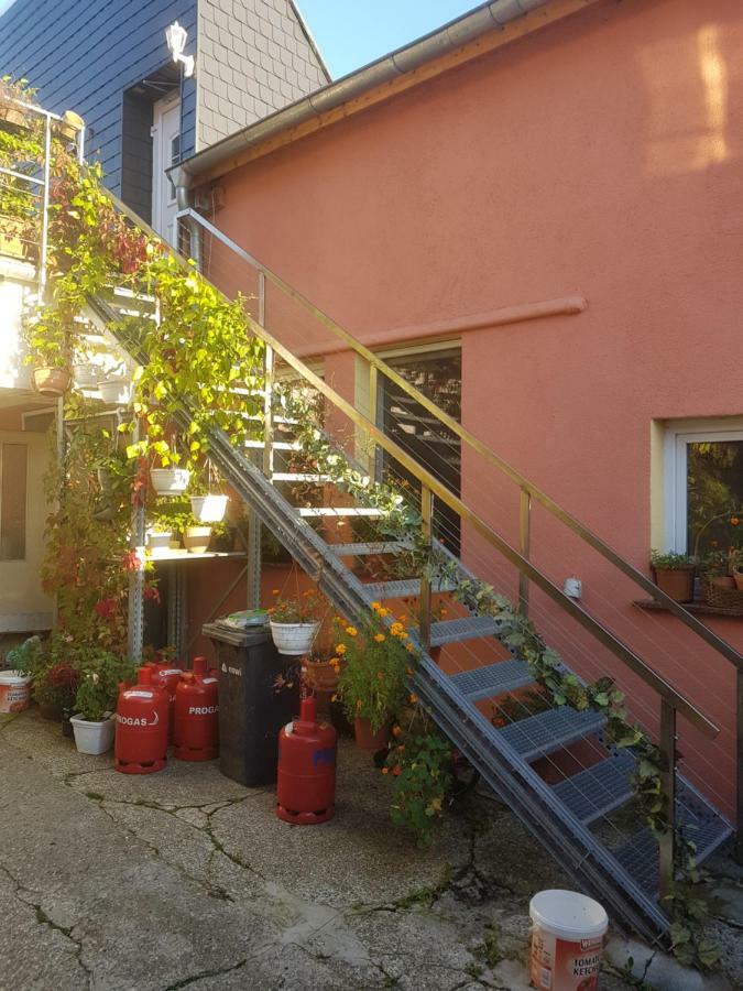 Pension Im Glueck Thale Exterior photo